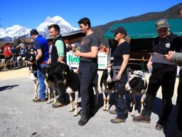 2019_ausstellung polling_419